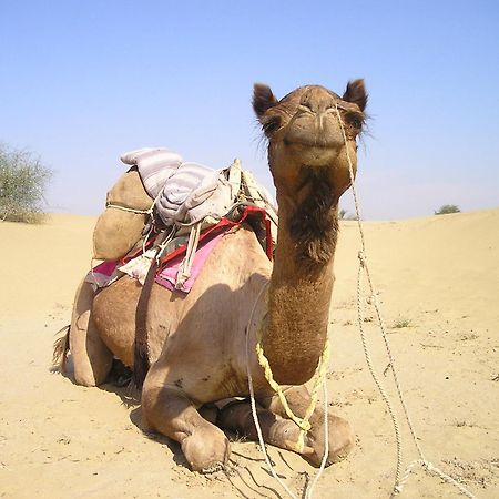 Hotel Royal Jaisalmer Ngoại thất bức ảnh