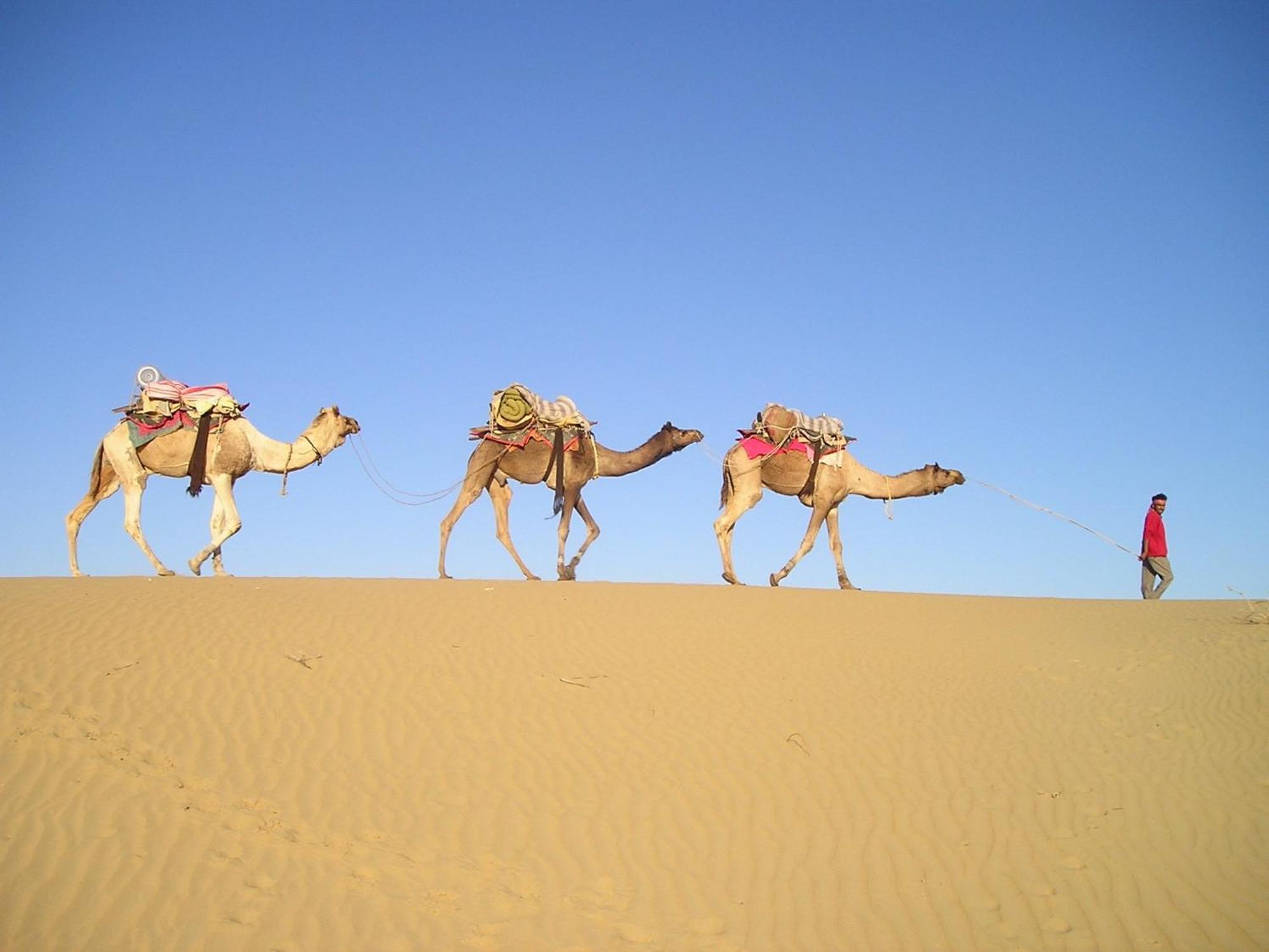 Hotel Royal Jaisalmer Ngoại thất bức ảnh